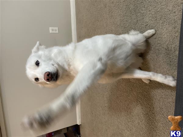 MeI Picture 1